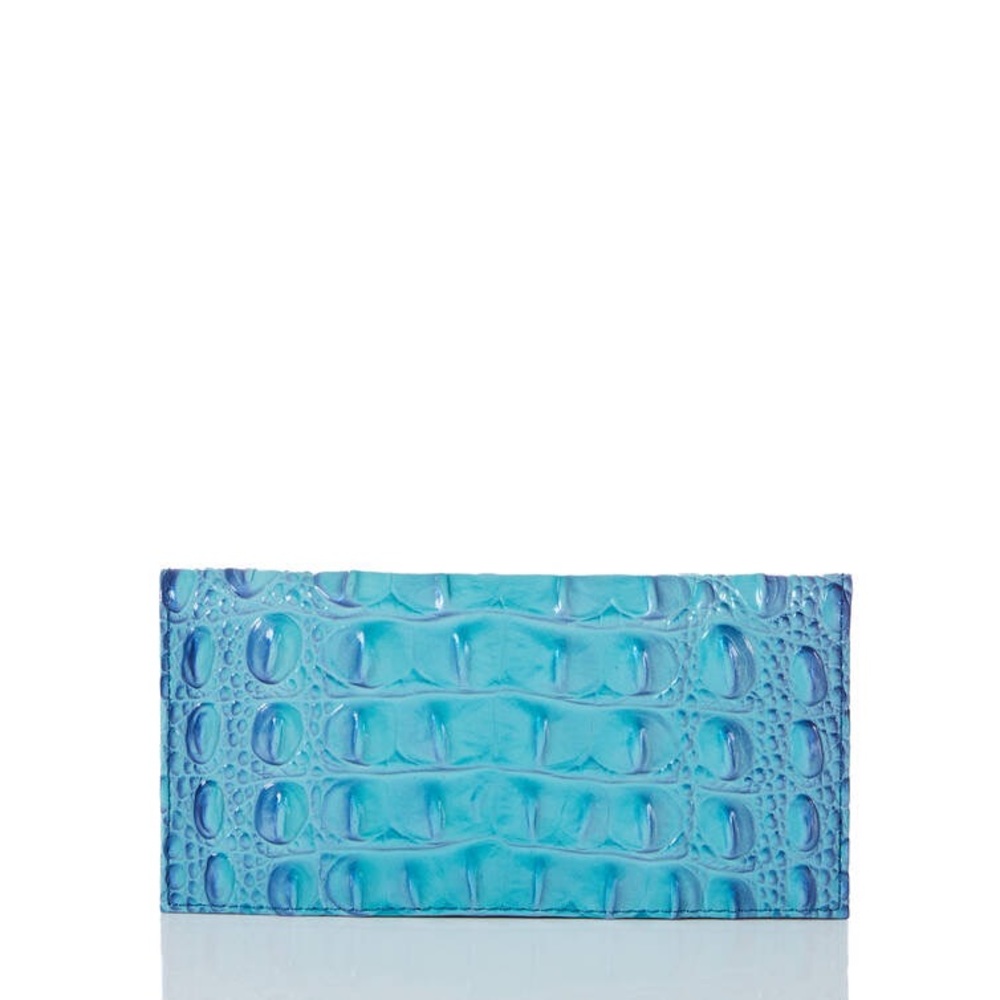 Affinity Ombre Checkbook - Picture 6 of 9